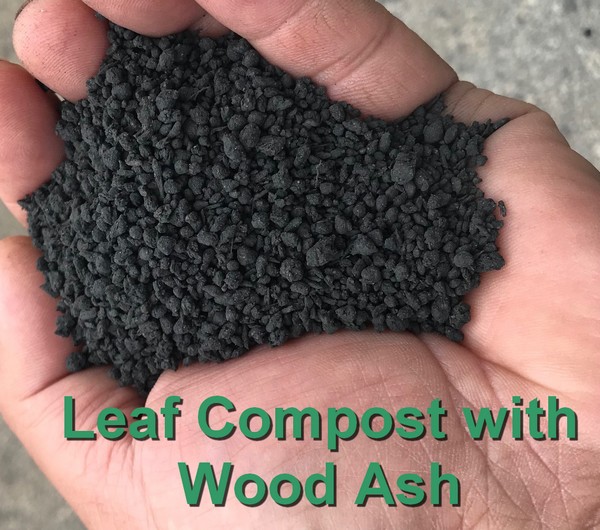 Leaf Compost